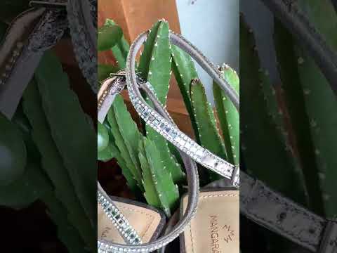 Aroeira Silver Leather Sandals – video