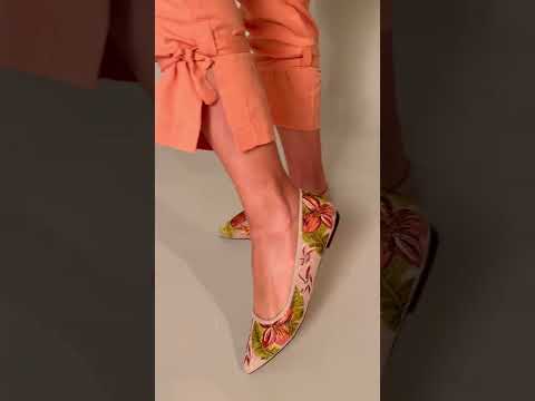 Pindaiva Beige Suede Embroidered Ballerinas – video